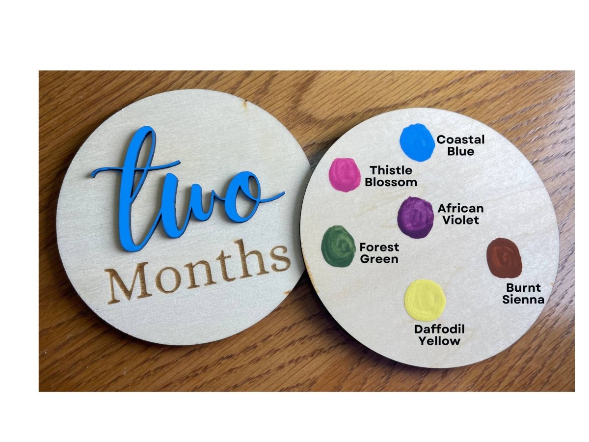 Baby Milestone Markers | 12 Months + Newborn + 1 Year